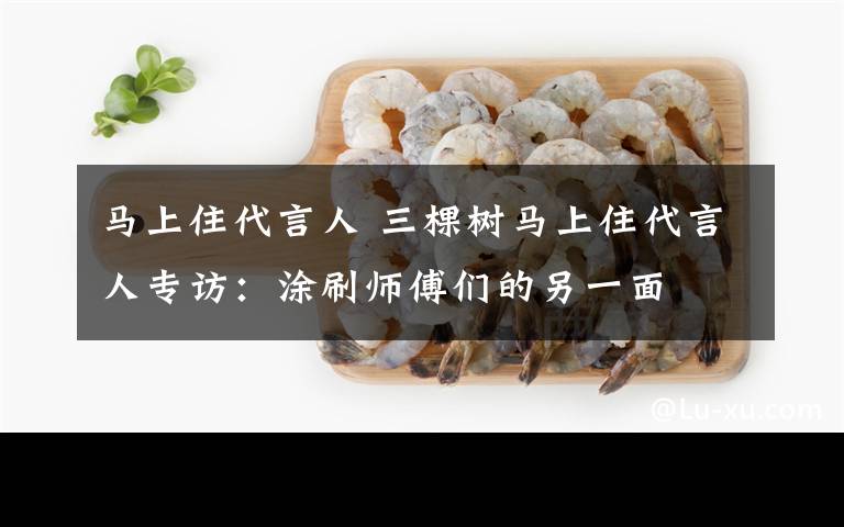 马上住代言人 三棵树马上住代言人专访：涂刷师傅们的另一面