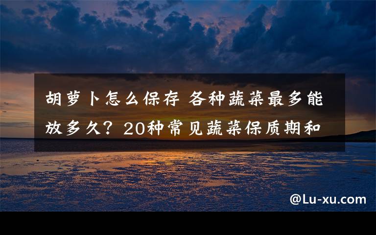 胡萝卜怎么保存 各种蔬菜最多能放多久？20种常见蔬菜保质期和方法都在这