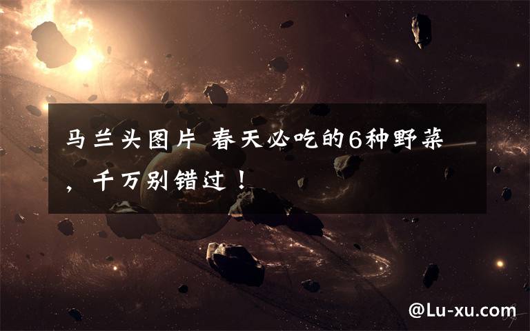 马兰头图片 春天必吃的6种野菜，千万别错过！