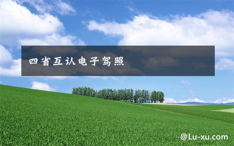 四省互认电子驾照