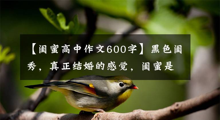 【闺蜜高中作文600字】黑色闺秀，真正结婚的感觉，闺蜜是越来越远的存在