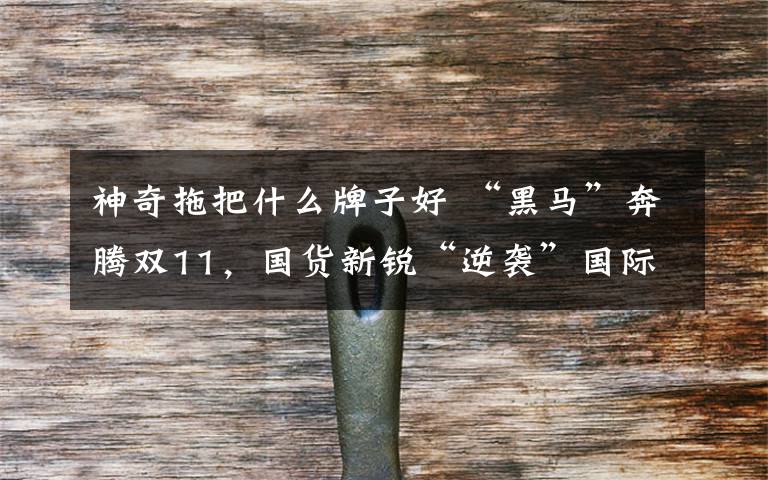 神奇拖把什么牌子好 “黑马”奔腾双11，国货新锐“逆袭”国际大牌