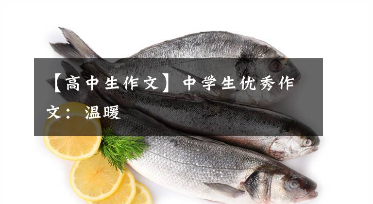 【高中生作文】中学生优秀作文：温暖