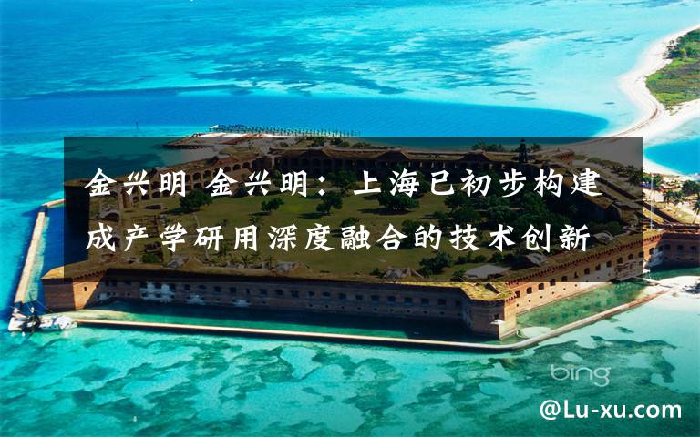 金兴明 金兴明：上海已初步构建成产学研用深度融合的技术创新体系