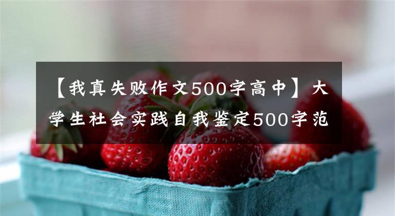 【我真失败作文500字高中】大学生社会实践自我鉴定500字范文