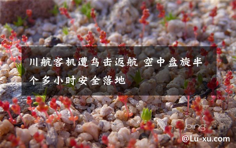 川航客机遭鸟击返航 空中盘旋半个多小时安全落地