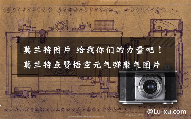 莫兰特图片 给我你们的力量吧！莫兰特点赞悟空元气弹聚气图片