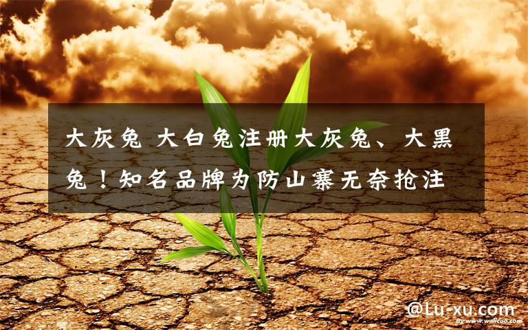 大灰兔 大白兔注册大灰兔、大黑兔！知名品牌为防山寨无奈抢注山寨号