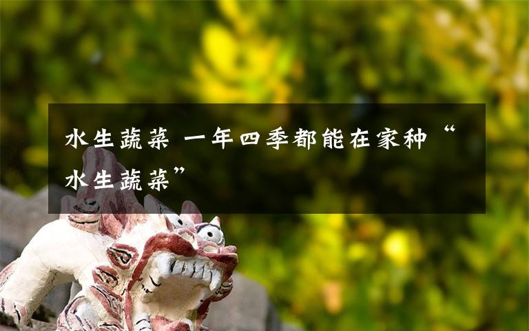 水生蔬菜 一年四季都能在家种“水生蔬菜”
