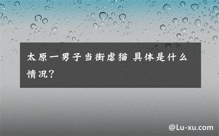 太原一男子当街虐猫 具体是什么情况？