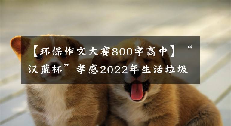 【环保作文大赛800字高中】“汉蓝杯”孝感2022年生活垃圾分类主题校园征文活动来了！