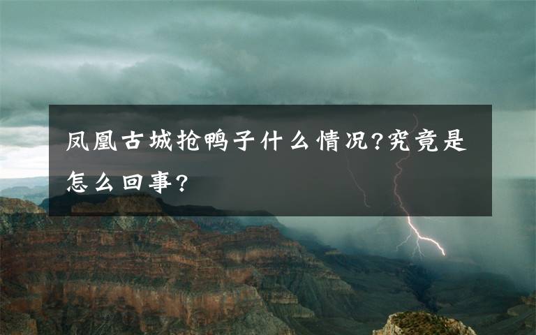 凤凰古城抢鸭子什么情况?究竟是怎么回事?