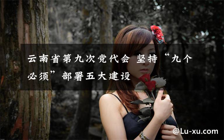 云南省第九次党代会 坚持“九个必须”部署五大建设
