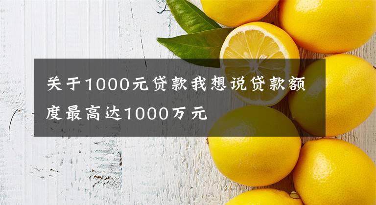 关于1000元贷款我想说贷款额度最高达1000万元