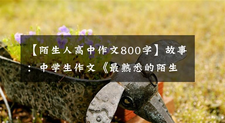 【陌生人高中作文800字】故事：中学生作文《最熟悉的陌生人》，我想在陌生花开的时候牵着你的手。
