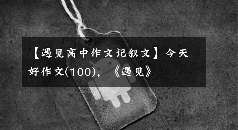 【遇见高中作文记叙文】今天好作文(100)，《遇见》