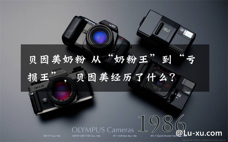 贝因美奶粉 从“奶粉王”到“亏损王”，贝因美经历了什么？