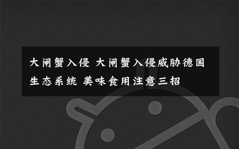 大闸蟹入侵 大闸蟹入侵威胁德国生态系统 美味食用注意三招