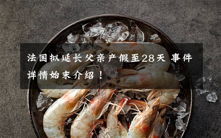 法国拟延长父亲产假至28天 事件详情始末介绍！