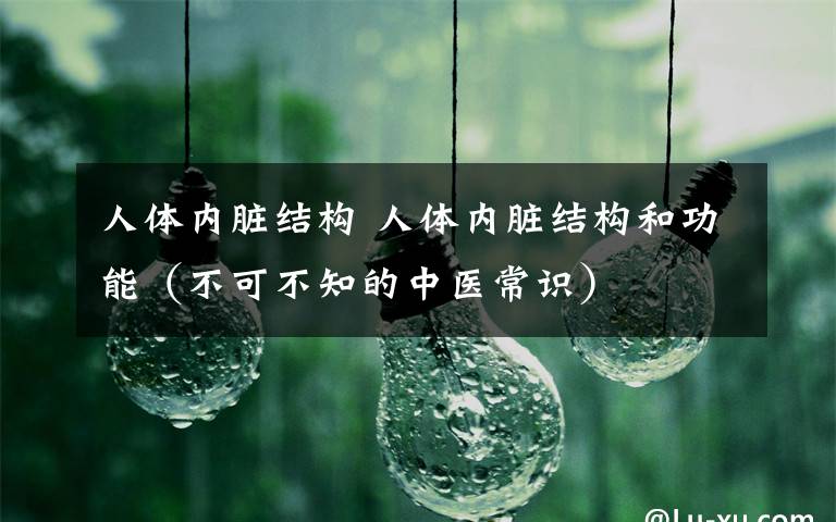 人体内脏结构 人体内脏结构和功能（不可不知的中医常识）