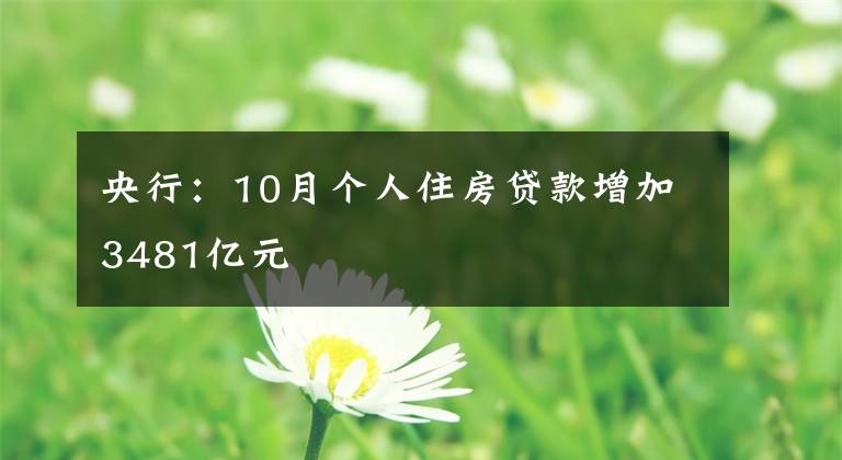 央行：10月个人住房贷款增加3481亿元