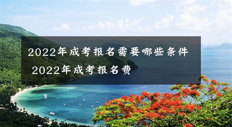 2022年成考报名需要哪些条件 2022年成考报名费