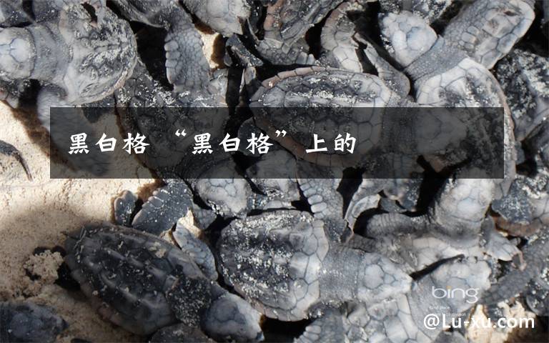 黑白格 “黑白格”上的