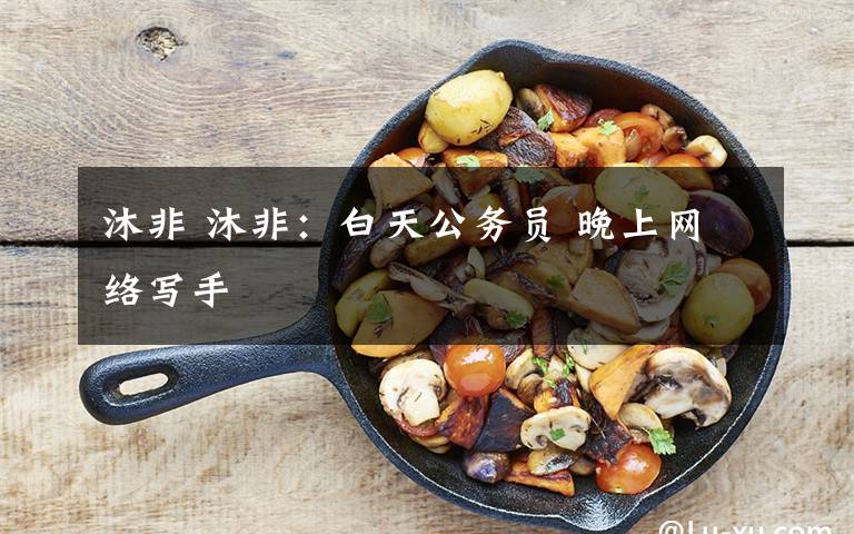 沐非 沐非：白天公务员 晚上网络写手
