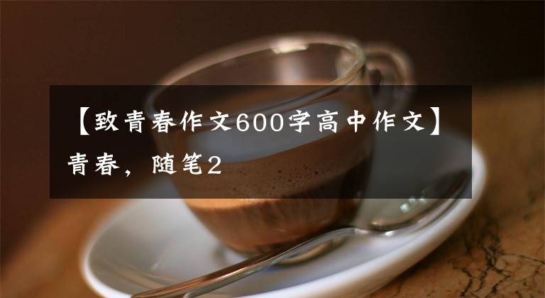 【致青春作文600字高中作文】青春，随笔2