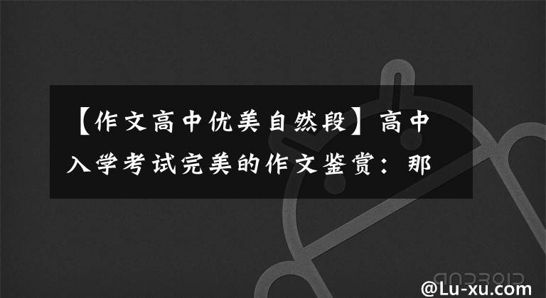 【作文高中优美自然段】高中入学考试完美的作文鉴赏：那天，阳光真的很好