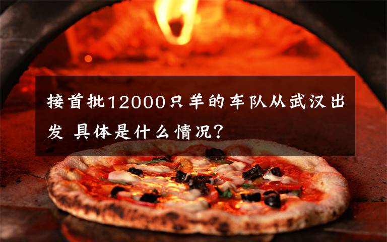 接首批12000只羊的车队从武汉出发 具体是什么情况？