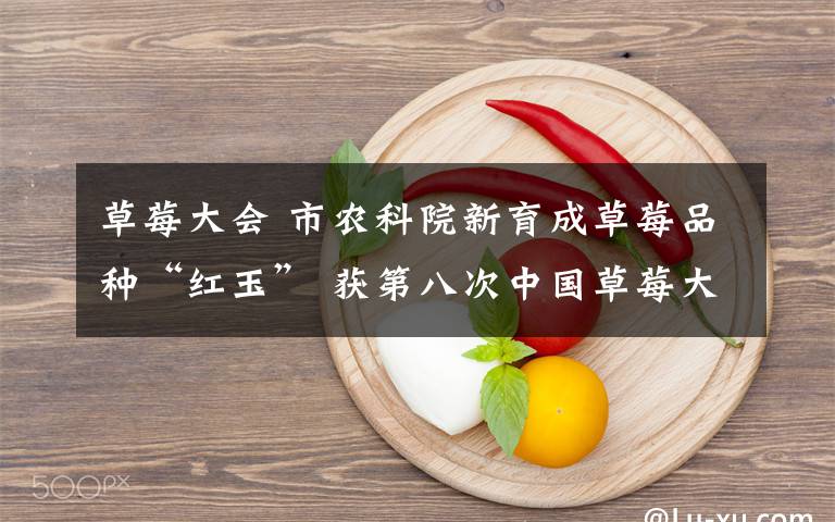 草莓大会 市农科院新育成草莓品种“红玉” 获第八次中国草莓大会金奖