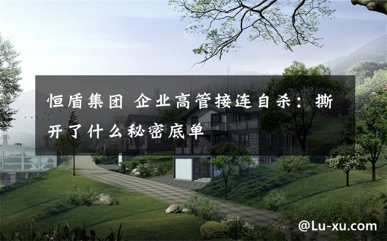 恒盾集团 企业高管接连自杀：撕开了什么秘密底单