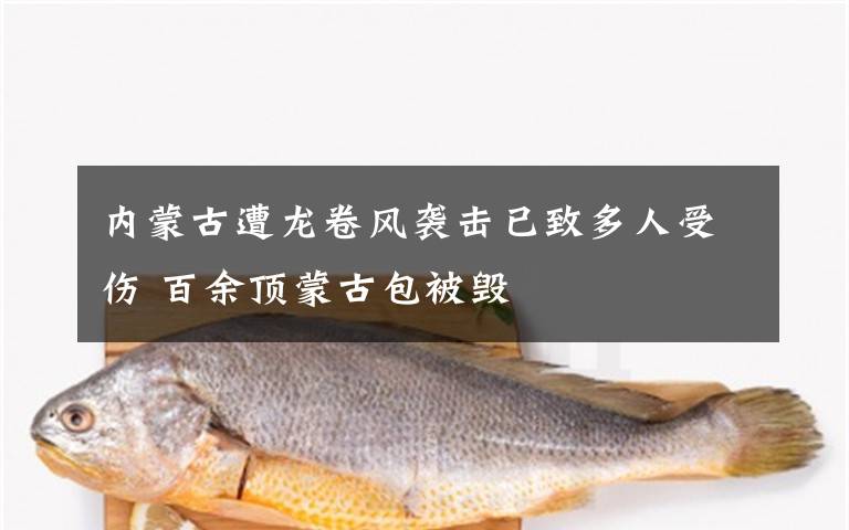 内蒙古遭龙卷风袭击已致多人受伤 百余顶蒙古包被毁