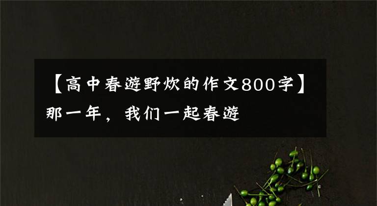 【高中春游野炊的作文800字】那一年，我们一起春游