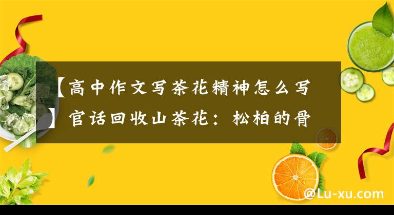 【高中作文写茶花精神怎么写】官话回收山茶花：松柏的骨头，戴着桃子和玛丽的姿态