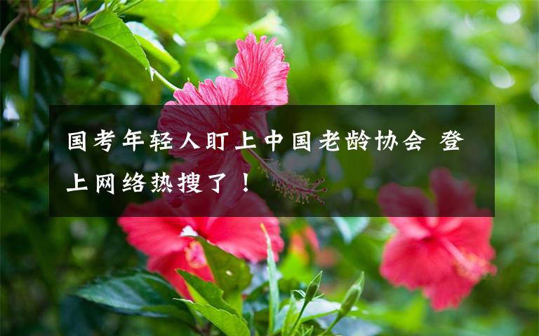 国考年轻人盯上中国老龄协会 登上网络热搜了！