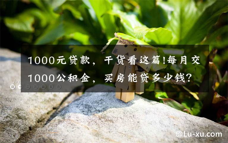 1000元贷款，干货看这篇!每月交1000公积金，买房能贷多少钱？