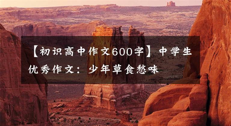 【初识高中作文600字】中学生优秀作文：少年草食愁味