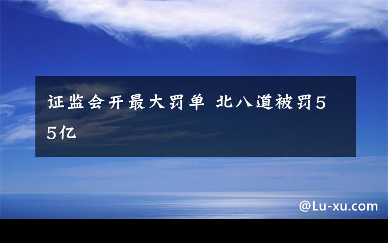 证监会开最大罚单 北八道被罚55亿