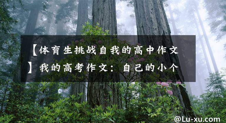 【体育生挑战自我的高中作文】我的高考作文：自己的小个子，CBA赛场的巨大能量，也不是体育的效果。