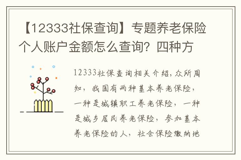 【12333社保查询】专题养老保险个人账户金额怎么查询？四种方式告诉你