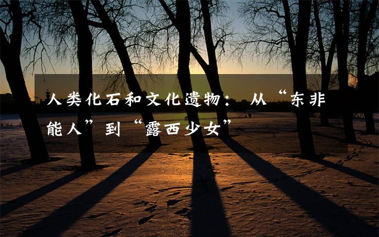 人类化石和文化遗物： 从“东非能人”到“露西少女”