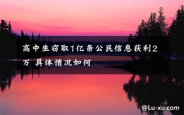 高中生窃取1亿条公民信息获利2万 具体情况如何