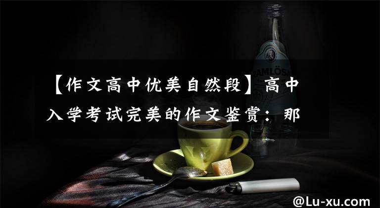【作文高中优美自然段】高中入学考试完美的作文鉴赏：那天，阳光真的很好
