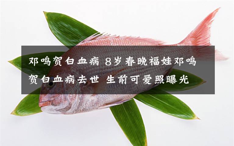 邓鸣贺白血病 8岁春晚福娃邓鸣贺白血病去世 生前可爱照曝光