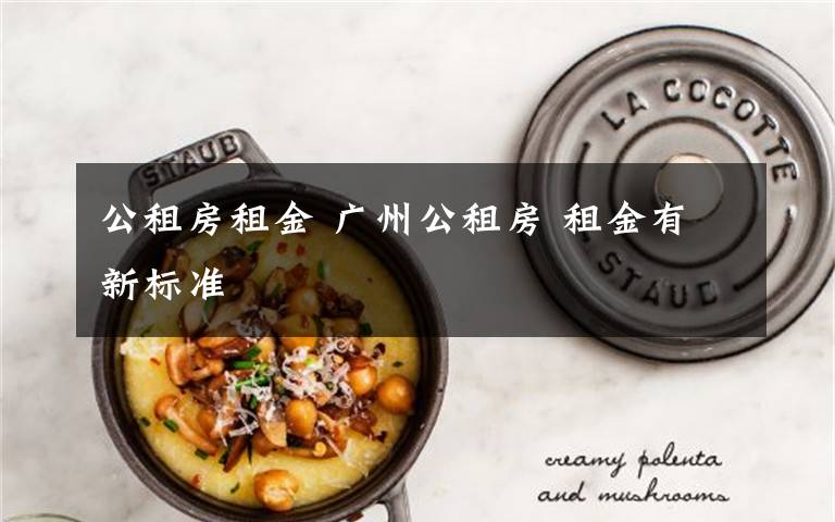 公租房租金 广州公租房 租金有新标准