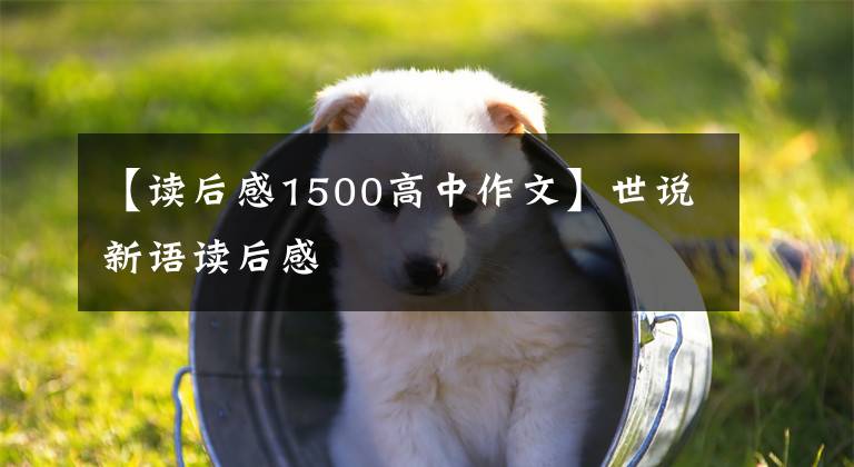 【读后感1500高中作文】世说新语读后感