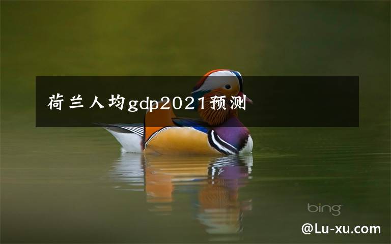 荷兰人均gdp2021预测