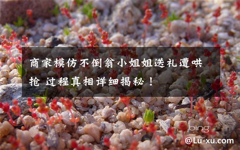 商家模仿不倒翁小姐姐送礼遭哄抢 过程真相详细揭秘！